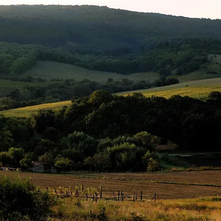 Duna Villa Dunaszentmiklós