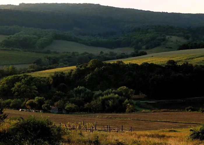 Duna 别墅 Dunaszentmiklós